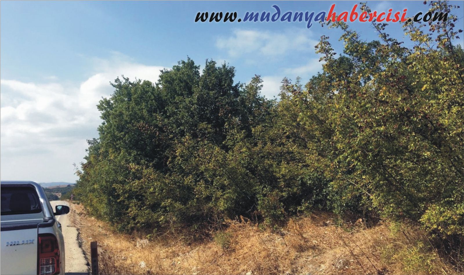 MUDANYA HAS MAHALLEDE MEZARLIK SYANI